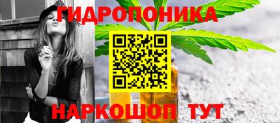 соль ск Пугачёв
