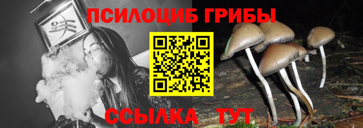 Павлово  Галлюциногенные грибы Psilocybe  Псилоцибиновые грибы ЛСД  Вход с VPN 